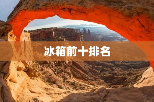 冰箱前十排名：哪些品牌的冰箱最受欢迎？