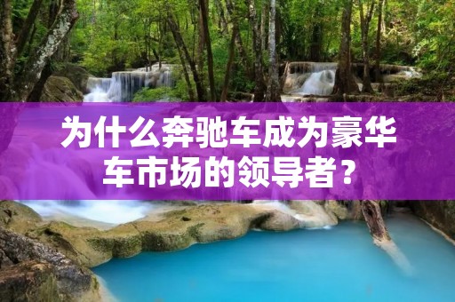 为什么奔驰车成为豪华车市场的领导者? 为什么奔驰车成为豪华车市场的领导者?