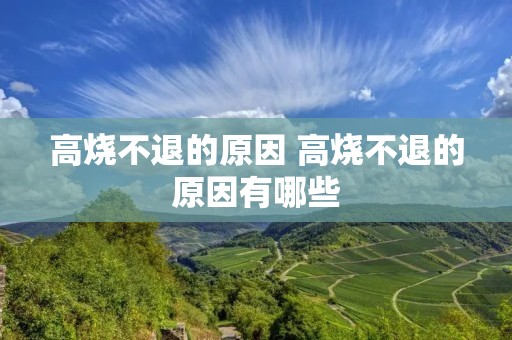 高烧不退的原因 高烧不退的原因有哪些 高烧不退的原因 高烧不退的原因有哪些