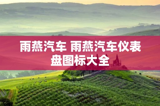 雨燕汽车 雨燕汽车仪表盘图标大全