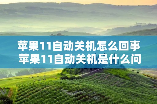 苹果11自动关机怎么回事 苹果11自动关机是什么问题 苹果11自动关机怎么回事 苹果11自动关机是什么问题