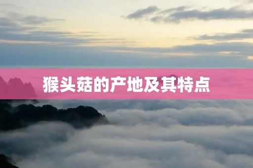 猴头菇的产地及其特点