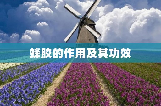 蜂胶的作用及其功效