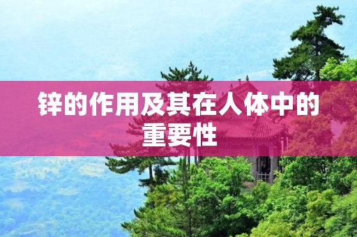 锌的作用及其在人体中的重要性 锌的作用及其在人体中的重要性