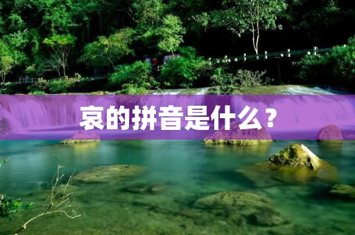 哀的拼音是什么? 哀的拼音是什么?
