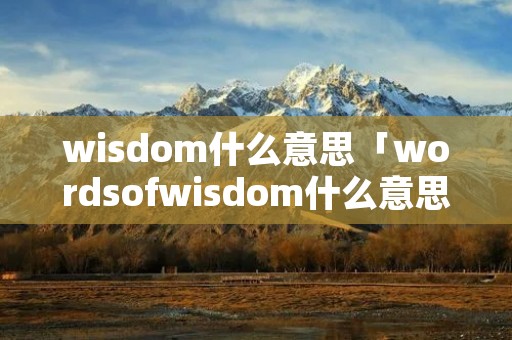 wisdom什么意思「wordsofwisdom什么意思」