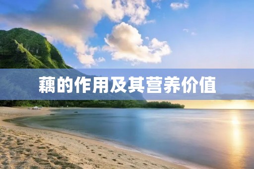 藕的作用及其营养价值 藕的作用及其营养价值