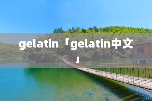 gelatin「gelatin中文」