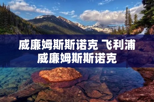 威廉姆斯斯诺克 飞利浦威廉姆斯斯诺克