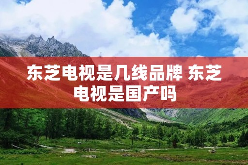东芝电视是几线品牌 东芝电视是国产吗