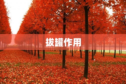 拔罐作用：祛湿、通经、活血、消肿、止痛