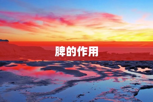 脾的作用:你知道吗? 脾的作用:你知道吗?