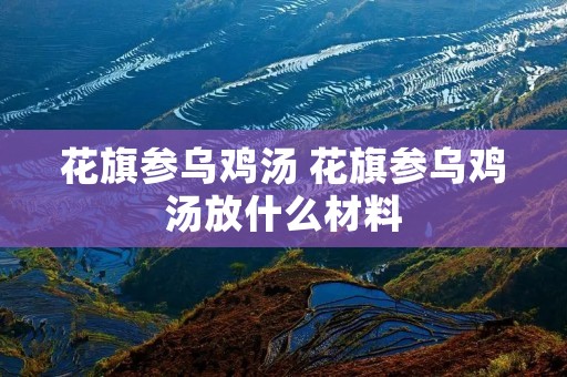 花旗参乌鸡汤 花旗参乌鸡汤放什么材料