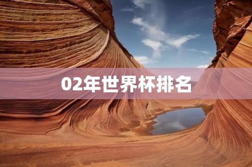 02年世界杯排名：巴西夺冠，德国屈居亚军