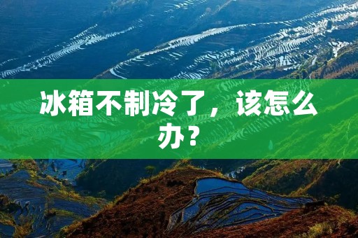 冰箱不制冷了，该怎么办？