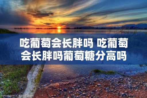 吃葡萄会长胖吗 吃葡萄会长胖吗葡萄糖分高吗 吃葡萄会长胖吗 吃葡萄会长胖吗葡萄糖分高吗