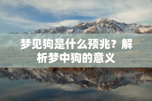 梦见狗是什么预兆？解析梦中狗的意义