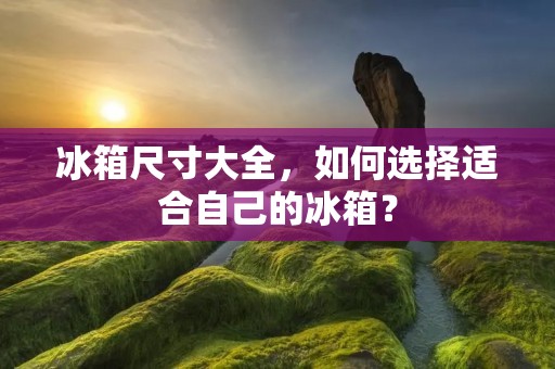 冰箱尺寸大全，如何选择适合自己的冰箱？