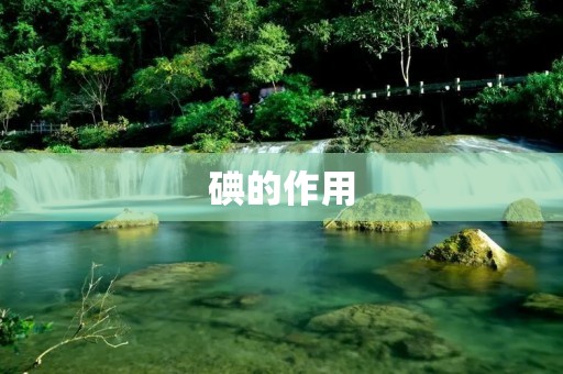 碘的作用 碘的作用