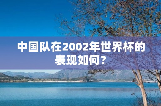 中国队在2002年世界杯的表现如何? 中国队在2002年世界杯的表现如何?