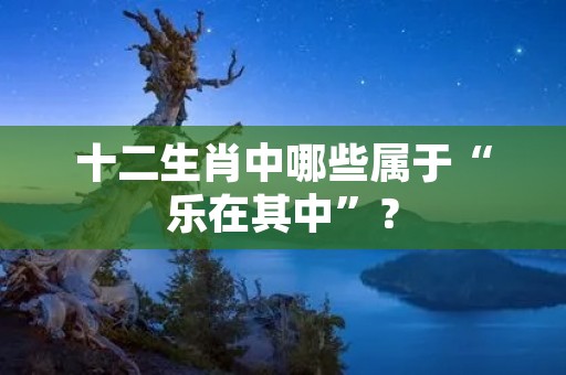 十二生肖中哪些属于“乐在其中”?