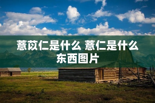 薏苡仁是什么 薏仁是什么东西图片