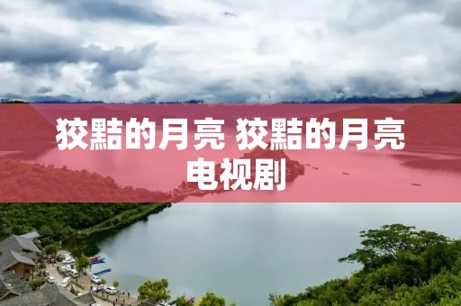 狡黠的月亮 狡黠的月亮 电视剧