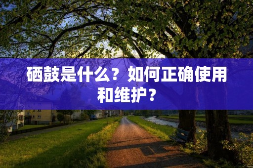 硒鼓是什么?如何正确使用和维护? 硒鼓是什么?如何正确使用和维护?