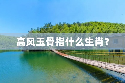 高风玉骨指什么生肖？