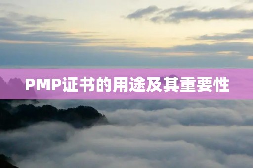 PMP证书的用途及其重要性