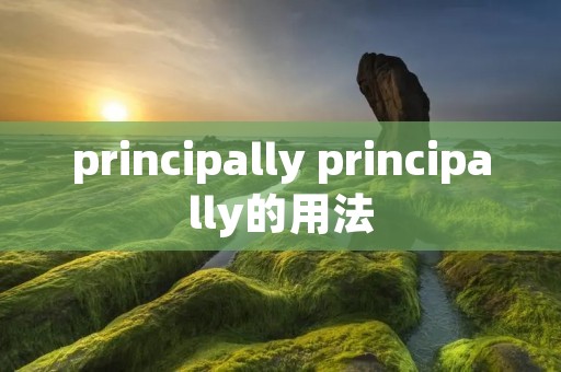 principally principally的用法