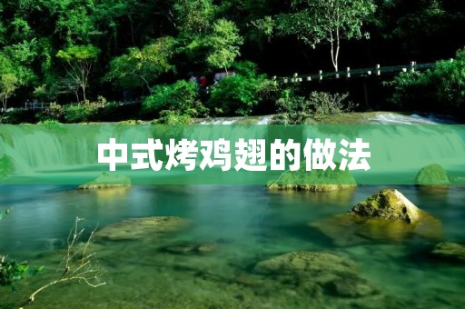 中式烤鸡翅的做法:美味香脆,超级简单!