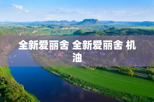 全新爱丽舍 全新爱丽舍 机油