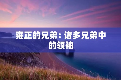 雍正的兄弟: 诸多兄弟中的领袖
