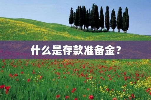 什么是存款准备金？