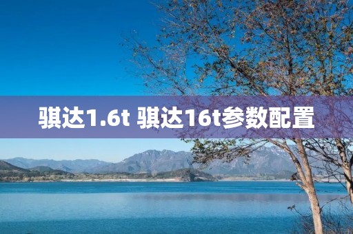 骐达1.6t 骐达16t参数配置