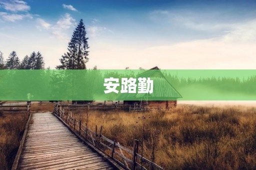 安路勤:一位热心公益的企业家 安路勤:一位热心公益的企业家