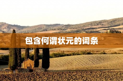 包含何谓状元的词条