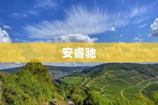 安睿驰:打造智能出行新时代
