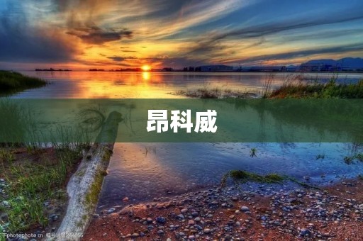 昂科威:一款高品质豪华SUV 昂科威:一款高品质豪华SUV