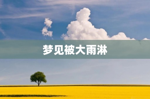 梦见被大雨淋:暗示你面临一些挑战,但它们不是无法克服的