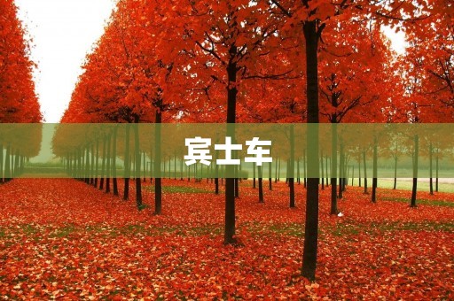 宾士车：品质与尊贵的代表