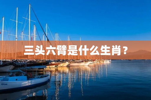 三头六臂是什么生肖?