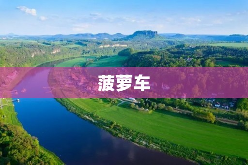 菠萝车:一种全新的城市出行方式 菠萝车:一种全新的城市出行方式
