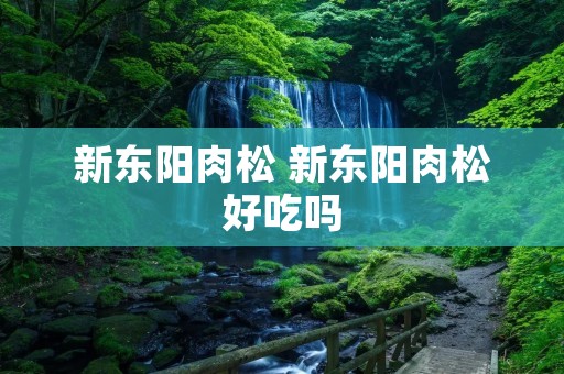 新东阳肉松 新东阳肉松好吃吗