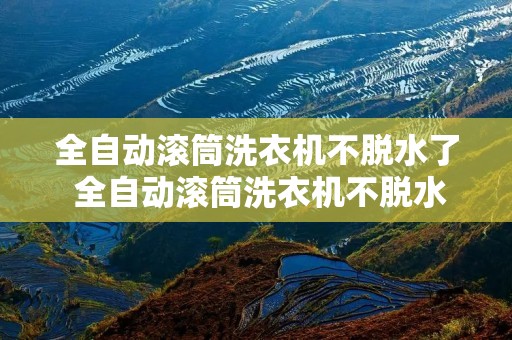 全自动滚筒洗衣机不脱水了 全自动滚筒洗衣机不脱水怎么办