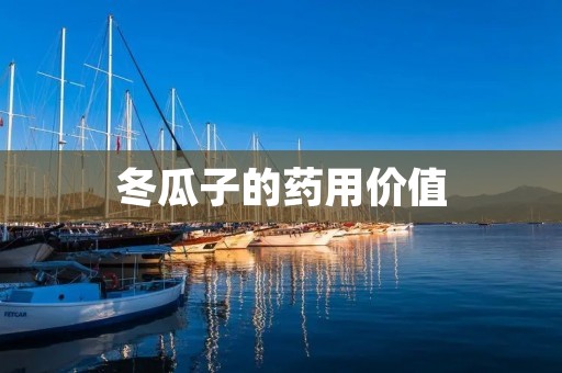 冬瓜子的药用价值