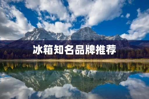 冰箱知名品牌推荐:选购指南 冰箱知名品牌推荐:选购指南