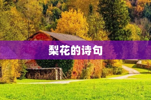 梨花的诗句