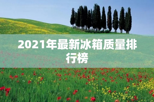 2021年最新冰箱质量排行榜